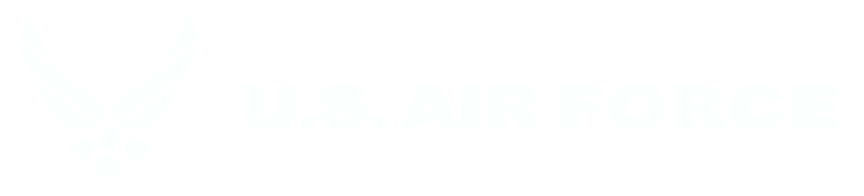 US Air Force